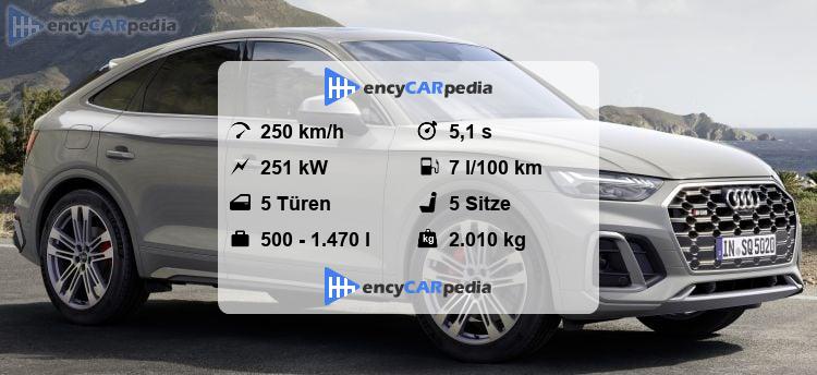 Interesting Technische Daten Audi Sq5 Photos